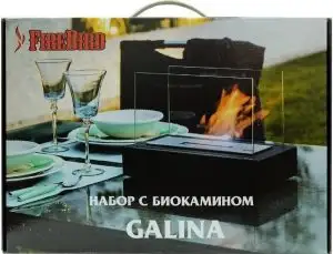 Набор с биокамином GALINA, биотопливом (1.5л.), зажигалкой
