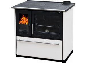Печь камин Plamen Plamen 850 Glas